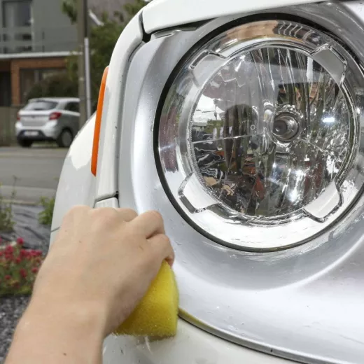 Eponge anti insectes auto (5 pièces) Eponge anti insectes auto (5 pièces)