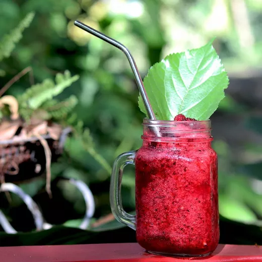 Paille en inox réutilisable et écologique avec extrémité courbée