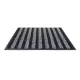 Tapis extérieur grattant anti-poussière bicolore
