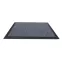 Tapis d'entrée anti-poussière qualité supérieure