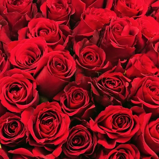 Bougie parfumée écologique de luxe à base de cire végétale - Mage