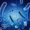 Danger: 7000 bactéries sur vos smartphones: Voici nos conseils et notre solution microfibre