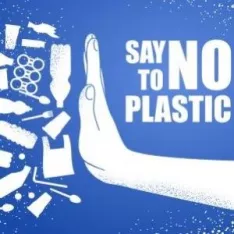 Éviter le plastique en contact avec les aliments : les alternatives en verre et inox