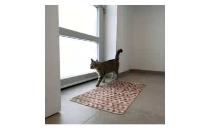 Quels sont les avantages d’un tapis absorbant décoratif ? Quels sont les avantages d’un tapis absorbant décoratif ?