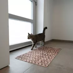 Quels sont les avantages d’un tapis absorbant décoratif ? Quels sont les avantages d’un tapis absorbant décoratif ?