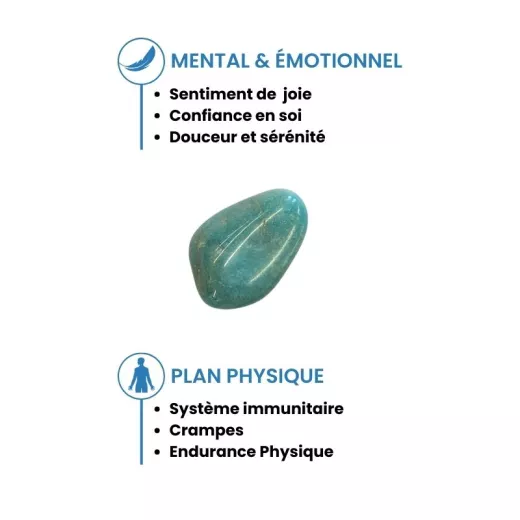 Pierre roulée Amazonite Pierre roulée Amazonite