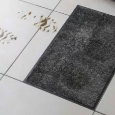 Les secrets du tapis d'entrée magique : comment il protège votre maison de l'humidité et des salissures ? Les secrets du tapis d'entrée magique : comment il protège votre maison de l'humidité et des salissures ?