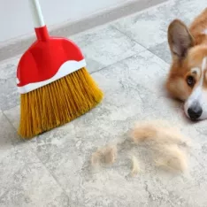 6 accessoires de nettoyage indispensables pour les propriétaires d’animaux 6 accessoires de nettoyage indispensables pour les propriétaires d’animaux