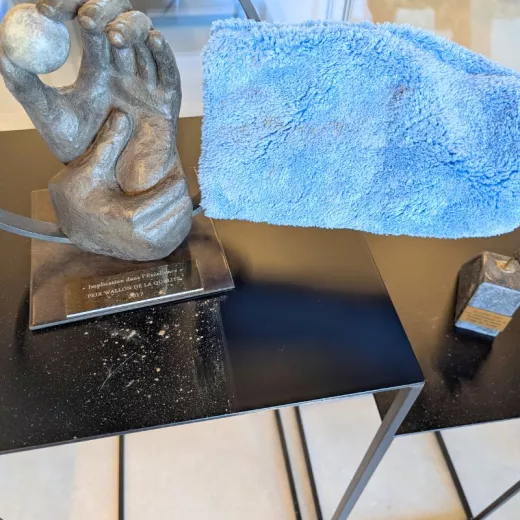 Gant microfibre élégant - Douceur et efficacité