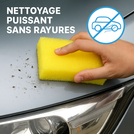 Eponge anti insectes auto (5 pièces) Eponge anti insectes auto (5 pièces)