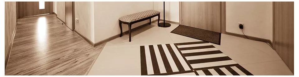 Tapis anti-poussières pour une maison propre et saine