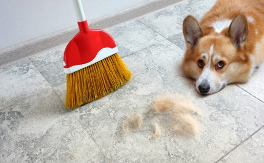 6 accessoires de nettoyage indispensables pour les propriétaires d’animaux