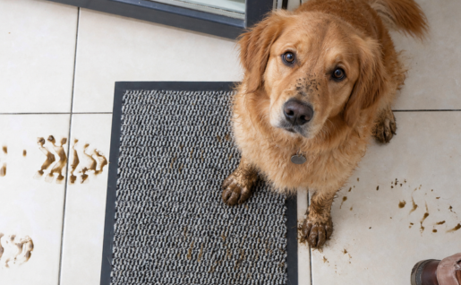 Comment choisir son tapis d’entrée ?