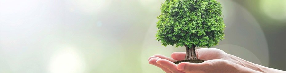 Produits naturels de nettoyage