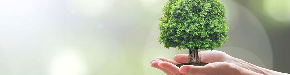 Produits d'entretien naturels