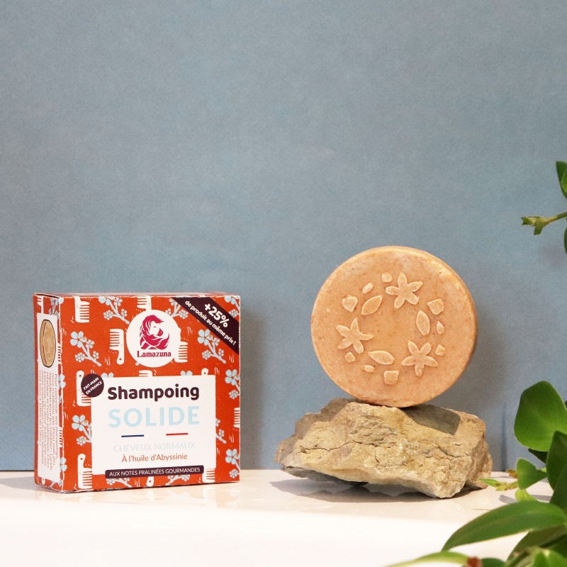 Shampoing solide écologique