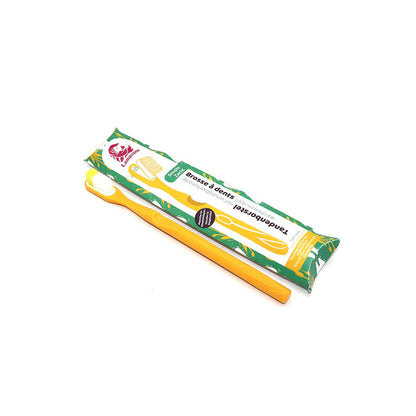 Brosse à dents à tête interchangeable