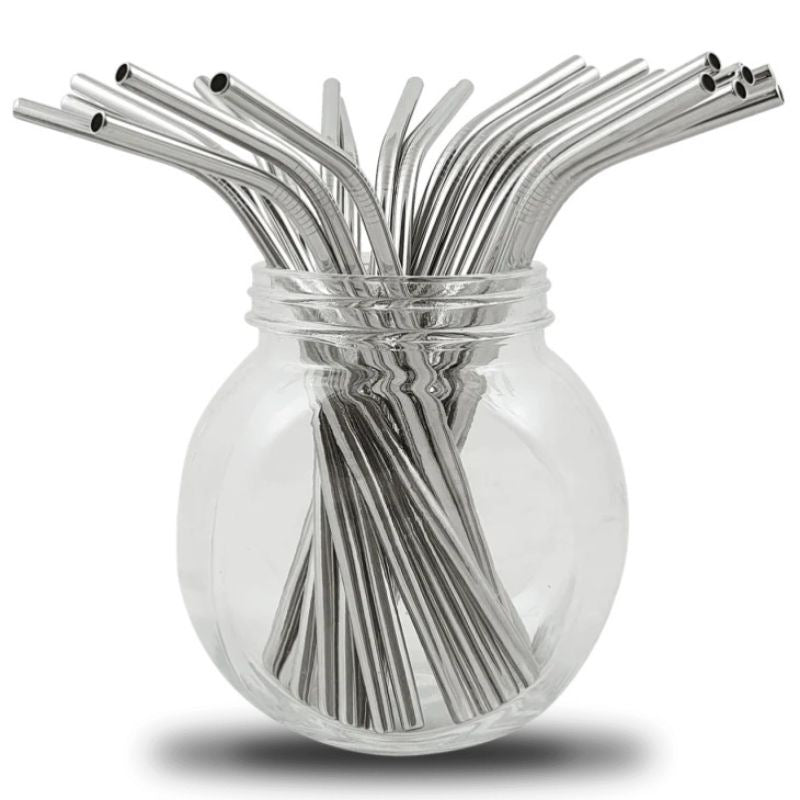 Lot de 4 pailles en inox courbées avec goupillon et étui
