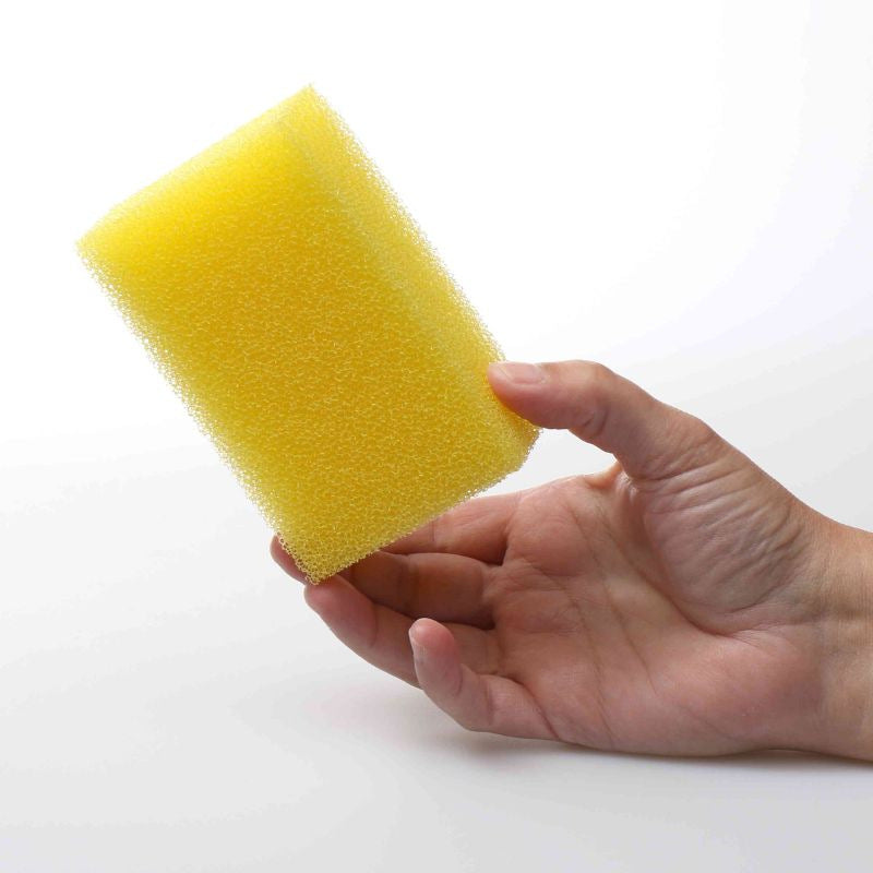 Eponge anti insectes auto (5 pièces)