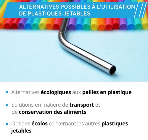 Paille en inox ou pailles en plastique