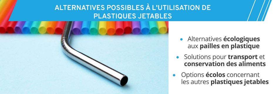 Pailles en plastique ou paille en inox