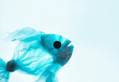 Poisson fait entièrement de plastiques