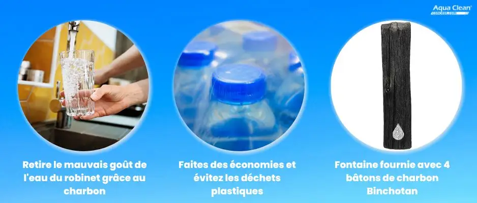 Les atouts de la fontaine à eau au charbon binchotan de marque Woody