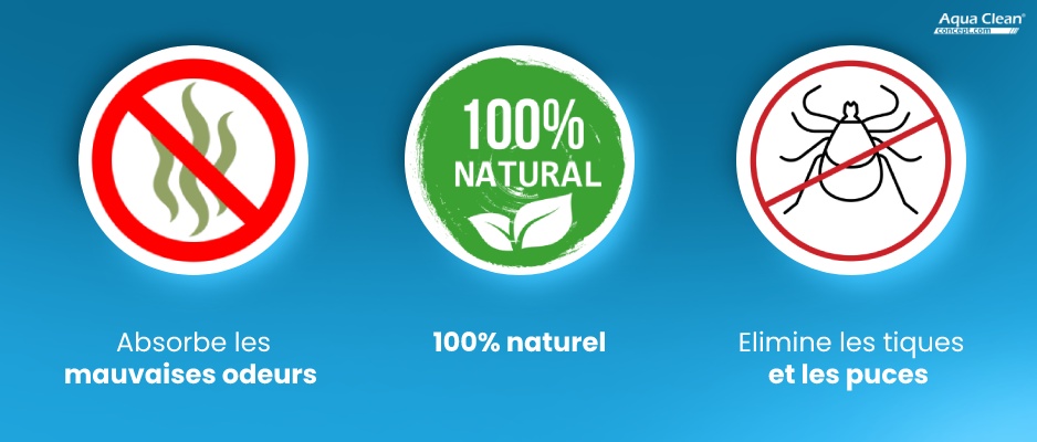 Découvrez les avantages de la terre de diatomée disponible chez AquaCleanConcept