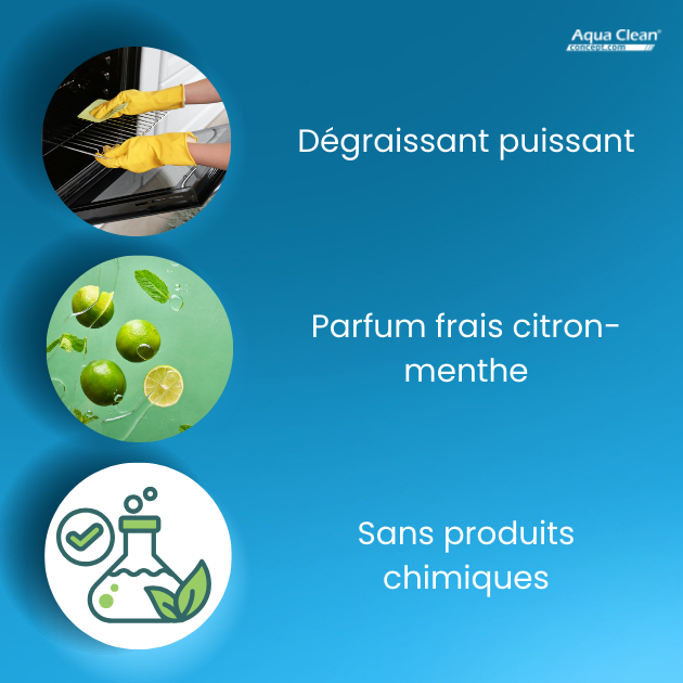 nettoyant-four-barbecue-ecologique