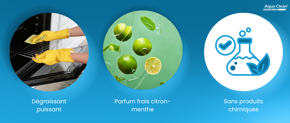 nettoyant-four-barbecue-ecologique