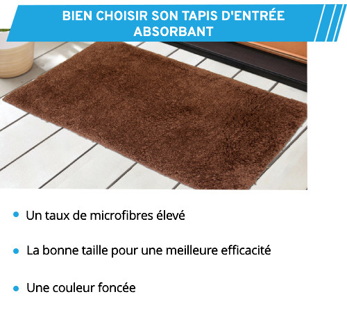 Critères pour choisir un bon tapis d'entrée absorbant