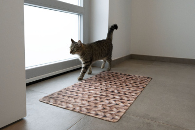 Un tapis absorbant décoratif garde vos sols propres