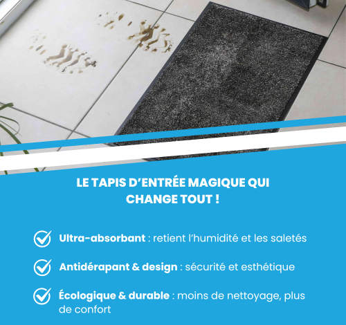 Acheter tapis entrée magique