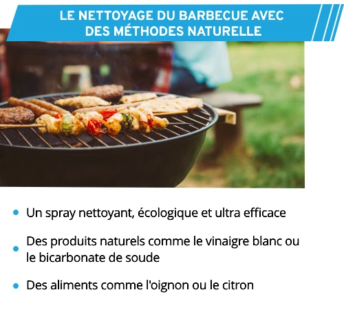 Solutions naturelles pour nettoyer son barbecue