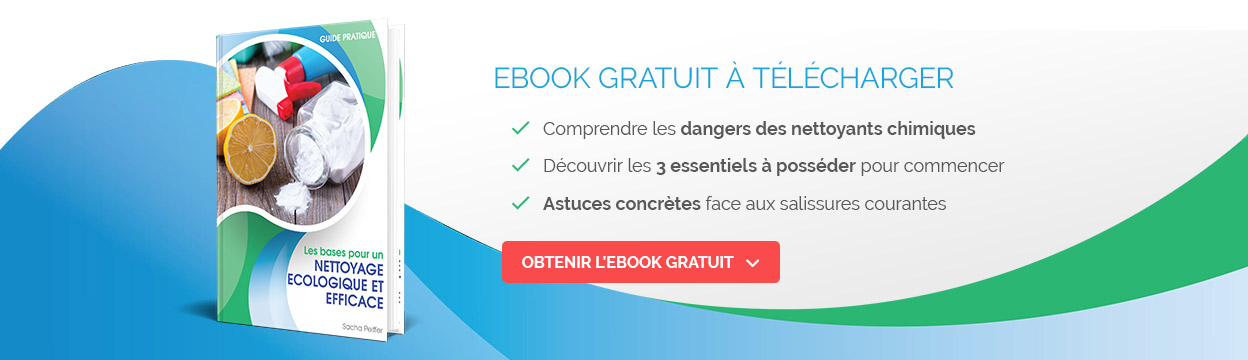 Ebook gratuit à télécharger